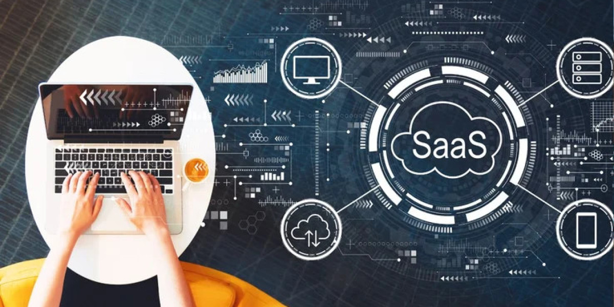 Benefits of Working With a Professional SaaS Solutions Provider