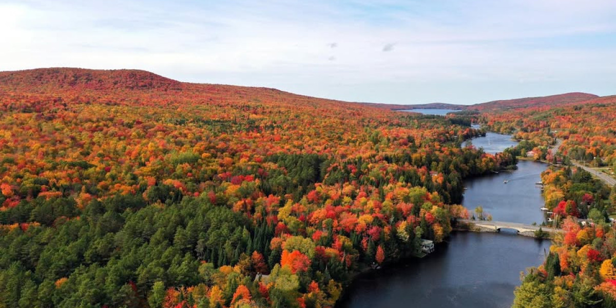 Discover the Adventure: Why Teen Camp is the Ultimate Summer Experience