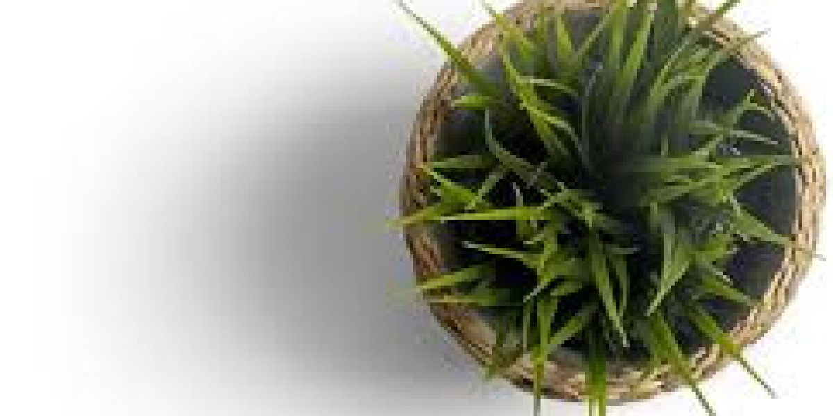 Dark Web Carding Sites Exposed: The Brians Club Case Study