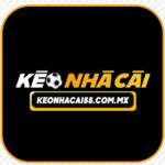 Kèo nhà cái 5 Profile Picture