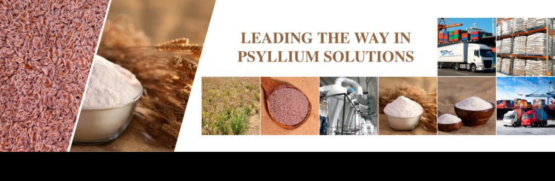 Patel Services Pty Ltd Cover Image