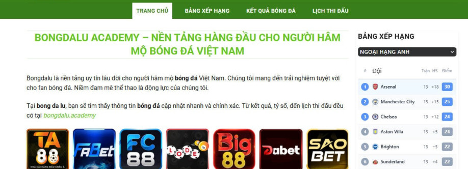 Bongdalu Cover Image