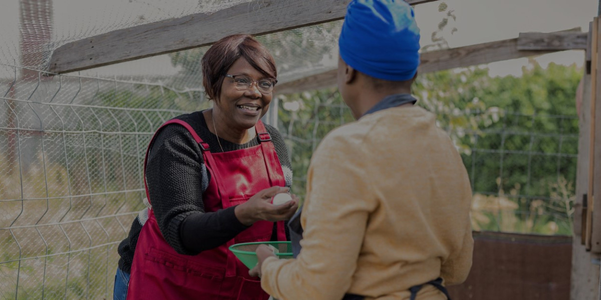 Microfinance for Rural SA: Empowering Women, Families, and Futures with WDB Trust