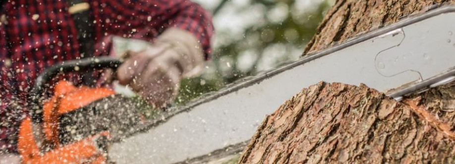 gaptree lopping Cover Image