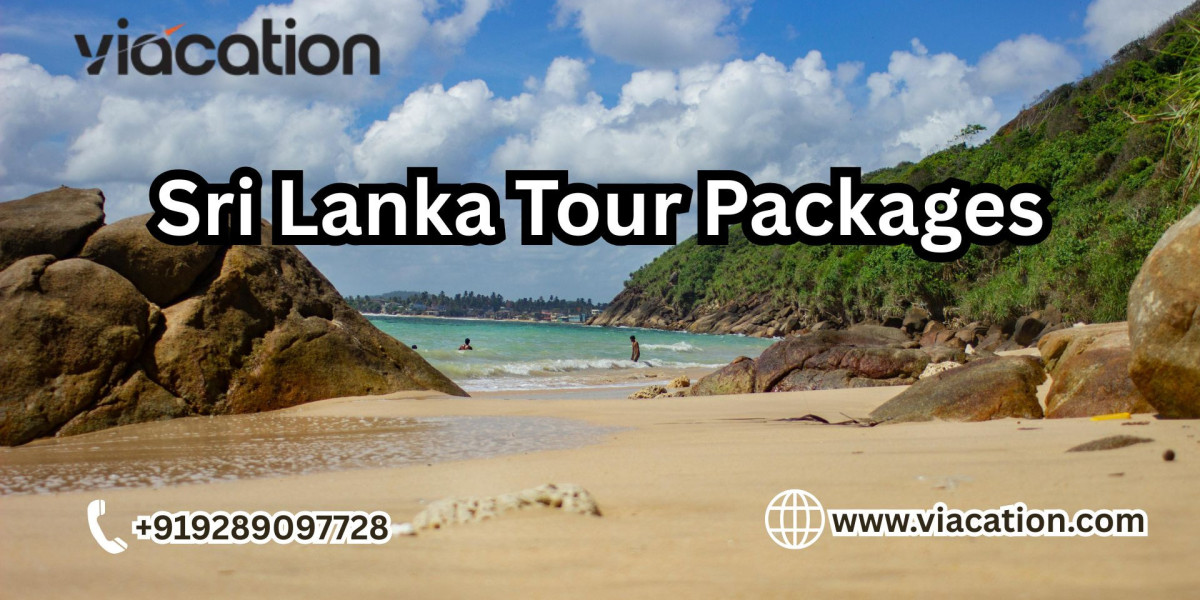 Which Sri Lanka Tour Packages Are Best for Short Trips?