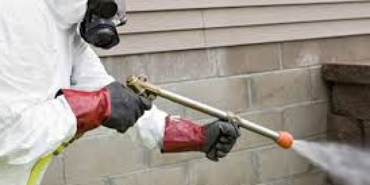 Immediate Property Protection Solutions with Emergency Termite Control Lahore