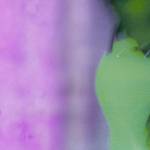 Spider Hoodie Profile Picture