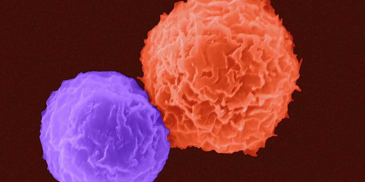 PD-1 and PD-L1 Inhibitor Market Size, Trends, and Growth Strategies 2025-2032