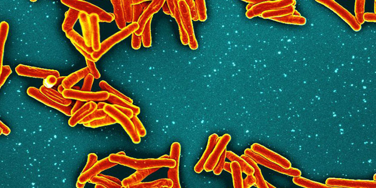 Global Tuberculosis Drugs Market: Size, Trends, and Growth Outlook 2025-2032