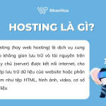 Hositng là gì Profile Picture