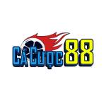 Cacuoc 88 Profile Picture