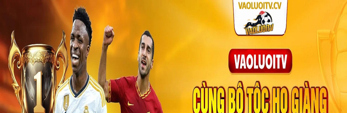 Vaoluoitv Cover Image