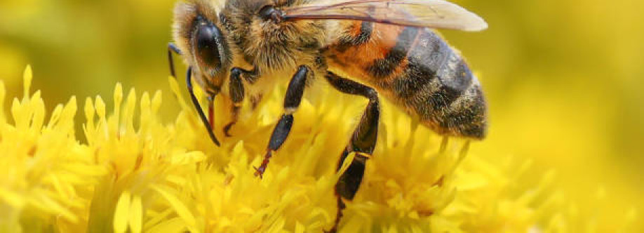 Umer Hafeez Cover Image