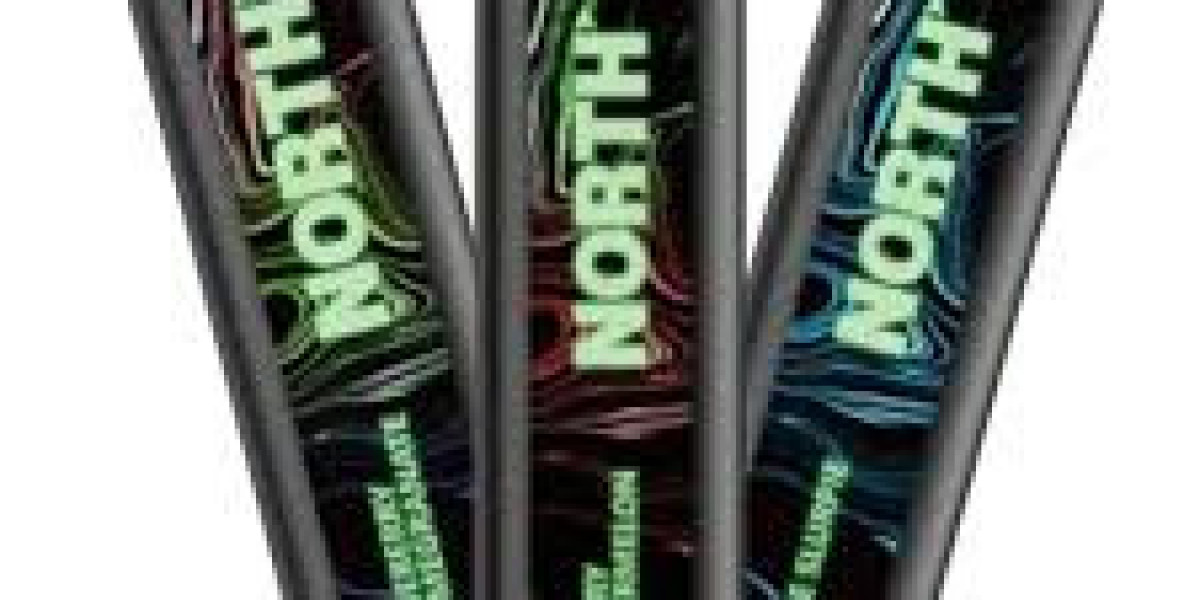 North FT12000 Vape: Premium Flavors & Best Price 2025