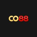 co88fun Profile Picture
