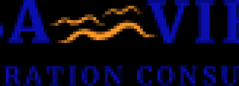 Visa Vibes Cover Image