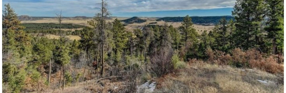 Clear Creek Fire Mitigation Cover Image