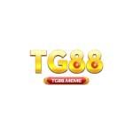 TG88 Profile Picture