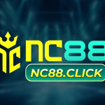 NC88 Profile Picture
