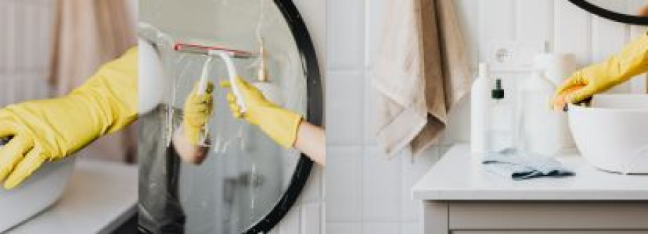 Nolon Cleaning Cover Image