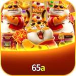 788t zacom Profile Picture