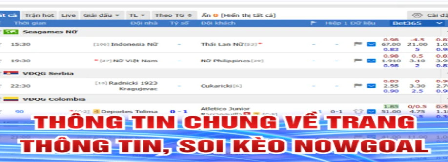 Nowgoal za com Cover Image