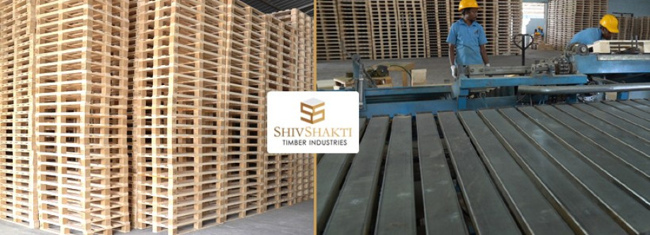 Shiv Shakti Cover Image