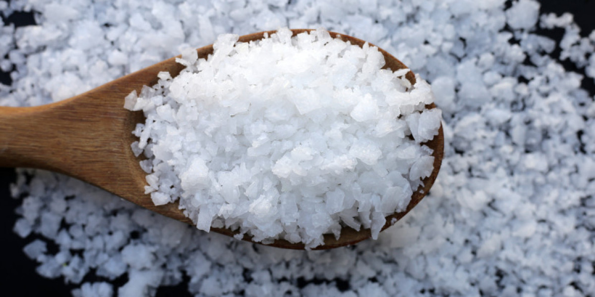 SLES Market Growth Outlook and Industry Trends 2026-2035