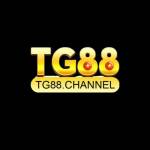 Tg88 channel Profile Picture