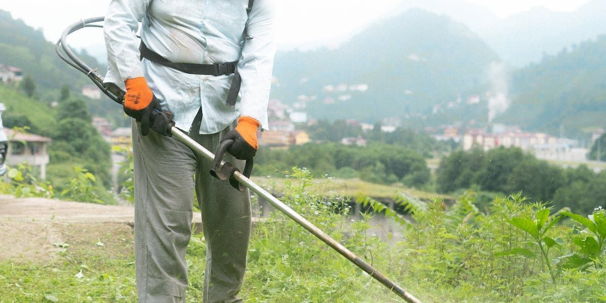 Are Lawn Mowing and Lawn Care Subscription Services Worth It?