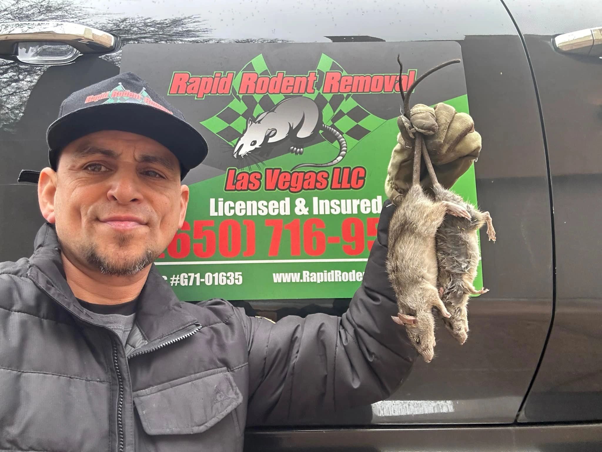 Rodent Extermination & Mice Control in Henderson | Rapid Rodent Removal Las Vegas