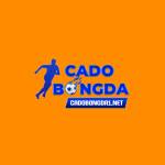 CA CUOC BONG DA Profile Picture