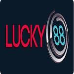 Lucky88 Profile Picture