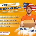 VietCargo Ship Hàng Mỹ Profile Picture