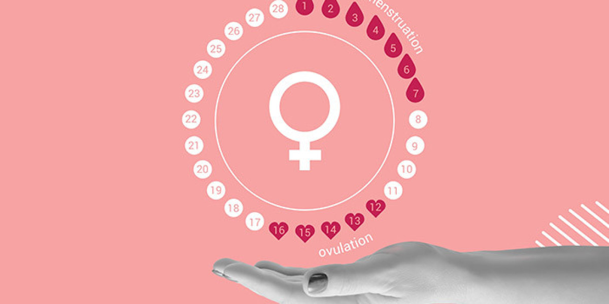 What Is Menstruation Cycle and Why Understanding It Can Change Your Life