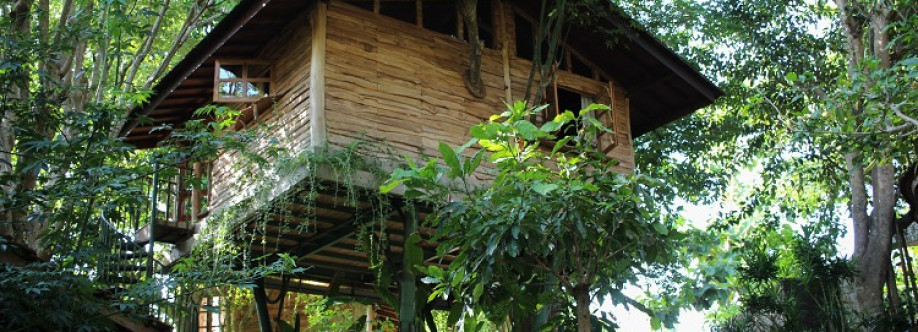 Roots Tree House Cover Image