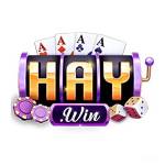 HAYWIN Nhà Cái Casino Online Profile Picture