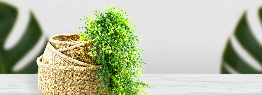 Back To Baskets Cover Image