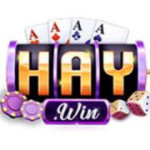 HAYWIN band Profile Picture