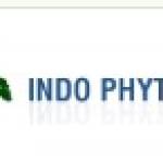 indophytochem Profile Picture
