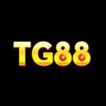Tg88 Profile Picture