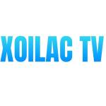 boalogistics com gia mao Profile Picture