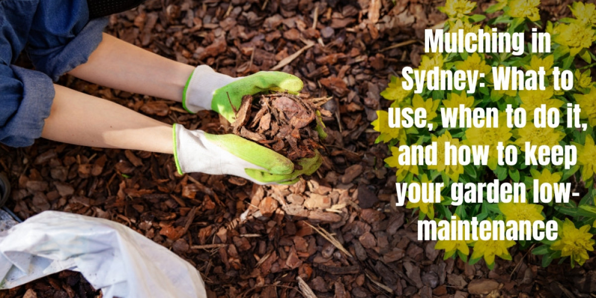 Mulching in Sydney: What to use, when to do it, and how to keep your garden low-maintenance