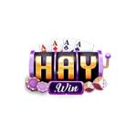 Haywin1 network Profile Picture