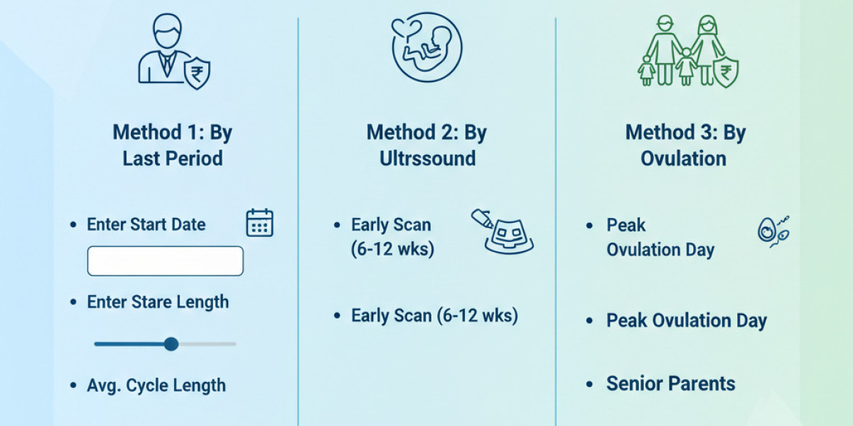 Find Out Your Baby’s Conception Date Using Our Easy Calculator