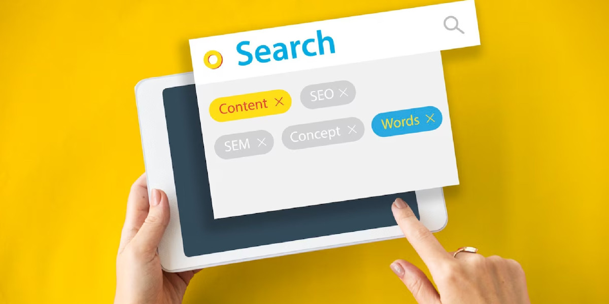 Limelight: Driving Digital Marketing Success in Echuca Moama and SEO Growth in Bendigo