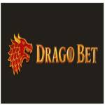DragoBet Casino Profile Picture