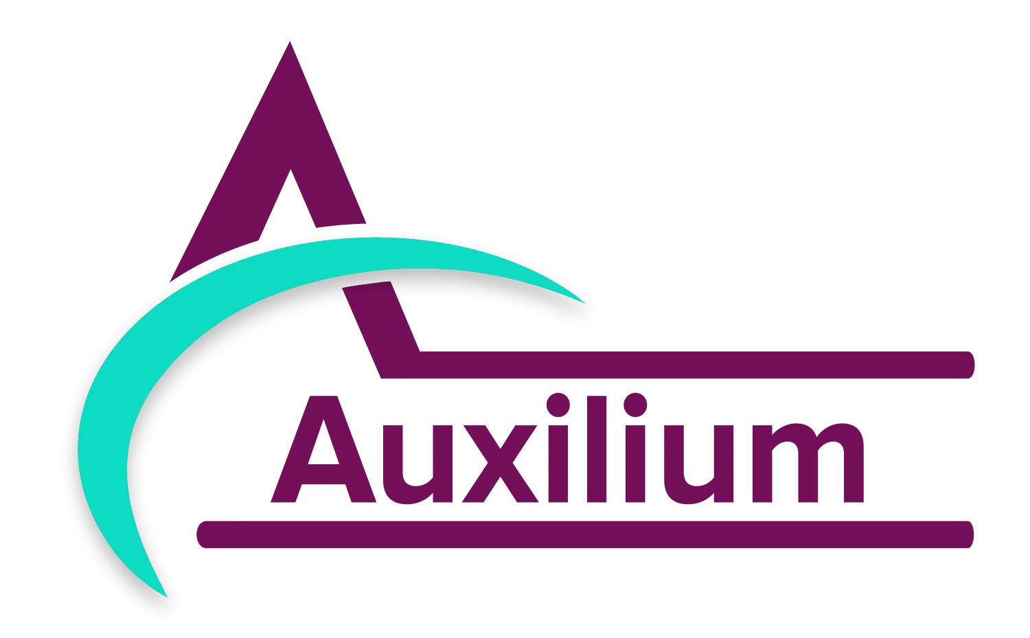 security companies in UK | Auxilium Services Limited