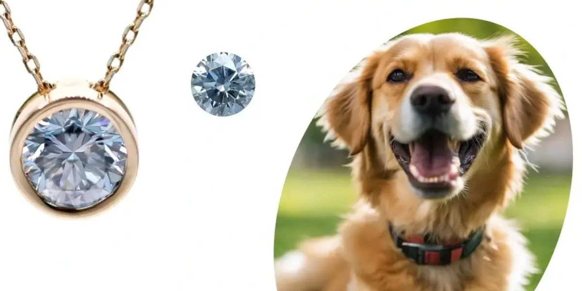 Turning Memories into Eternity: The Meaningful Journey of Ashes into Diamonds