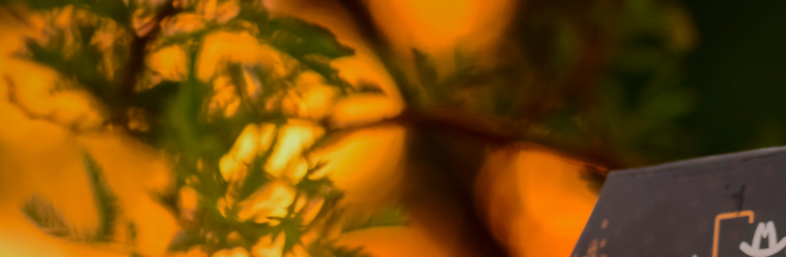 Rocking M Ranch Cover Image